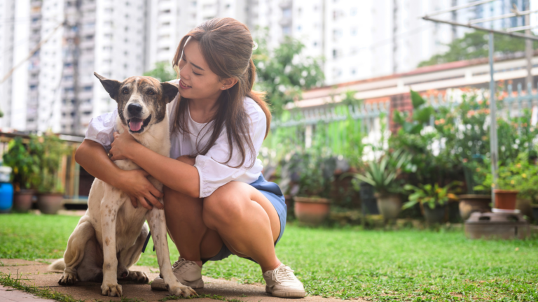 Alergia a pólen: dicas para cuidar dos pets na primavera