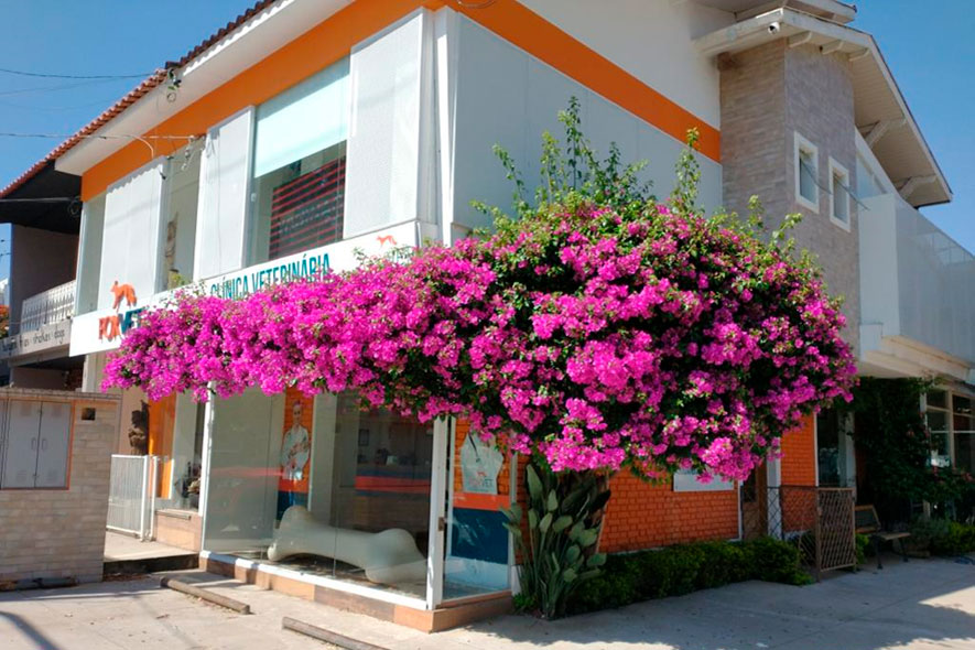 clinica-00