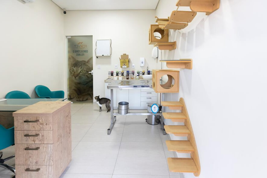 clinica03