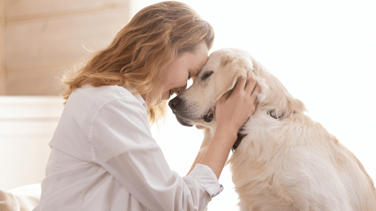 Eutanásia ou Cuidados Paliativos como saber o que é melhor para o seu pet